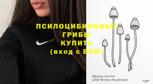спиды Белоозёрский