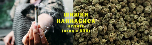 PSILOCYBIN Балабаново