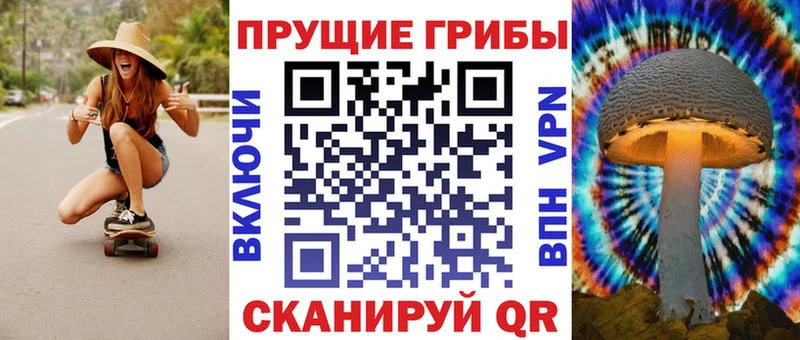 Псилоцибиновые грибы Psilocybine cubensis  OMG tor  Заволжье  цена  